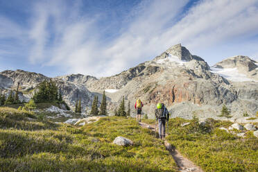 Rückansicht von Bergsteigern, die sich dem Berg über die Alm nähern. - CAVF77946