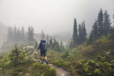 Rear view of backpacker hiking in the rain. - CAVF77985