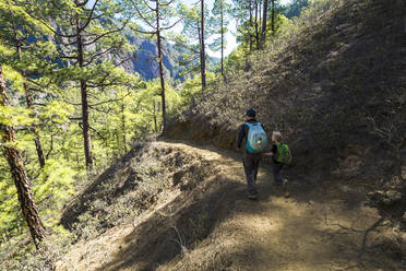 Back view of father walking with his little son on a hiking trail, La Palma, Canary Islands, Spain - IHF00297