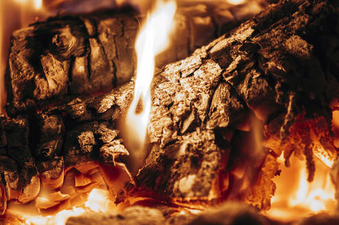 Brennholz brennt im Pizzaofen - AMAF00016