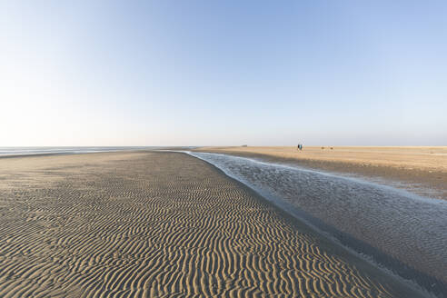 Denmark, Romo, Clear sky over rippled beach - ASCF01170