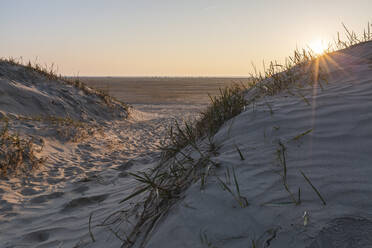 Dänemark, Romo, Sanddünen an der Küste bei Sonnenuntergang - ASCF01176