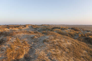 Dänemark, Romo, Klarer Himmel über Stranddünen - ASCF01178