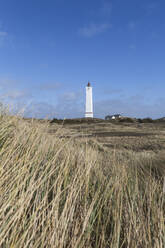Dänemark, Romo, Blavand, Grasbewachsene Küstenlandschaft mit Leuchtturm im Hintergrund - ASCF01182