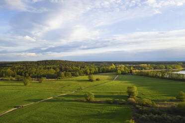 Deutschland, Brandenburg, Drohnenansicht einer grünen Landschaft - ASCF01220