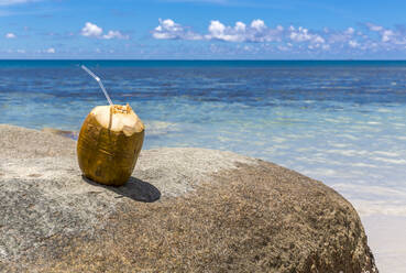 Seychellen, Mahe, Kokosnussgetränk auf einem Granitfelsen am Strand von Beau Vallon im Sommer - MABF00565