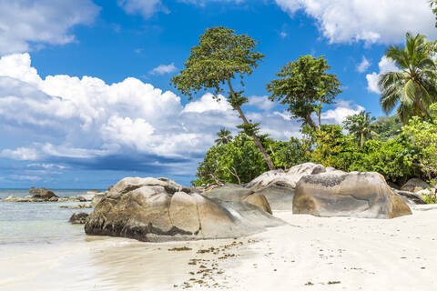 Seychellen, Mahe, Granitfelsen und Palmen am Strand von Beau Vallon im Sommer, lizenzfreies Stockfoto