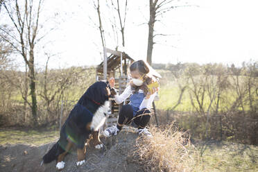 Girl wearing face mask, sitting in garden, playing with her dog - HMEF00838