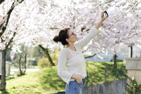 Porträt einer reifen Frau, die mit ihrem Smartphone Baumblüten fotografiert, lizenzfreies Stockfoto