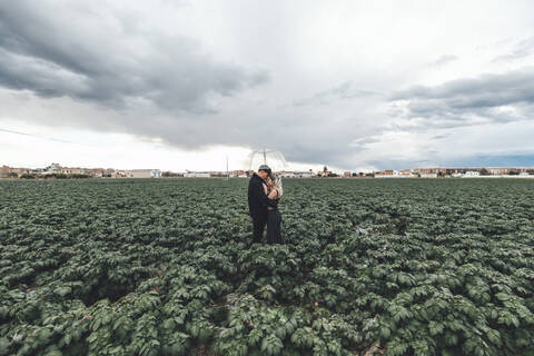 Young couple with transparent umbrella standing in a field hugging each other, Alboraya, Spain stock photo