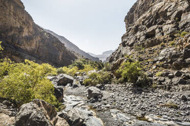 Oman, Ad Dakhiliyah, Nizwa, ausgetrocknetes Flussbett im Wadi Ghul - AUF00181
