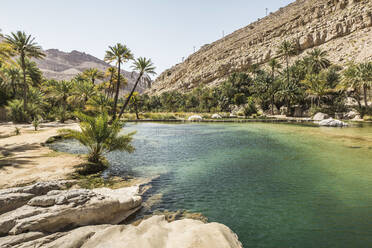 Oman, Gouvernement Ash Sharqiyah Nord, Flussbett umgeben von Palmen im Wadi Bani Khalid - AUF00187