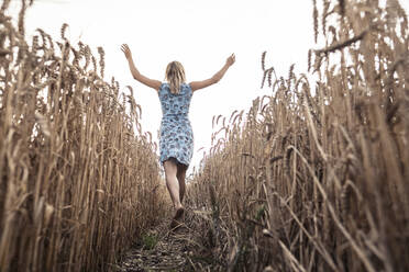 Rückenansicht einer aufgeregten Frau, die barfuß in einem Weizenfeld läuft - WFF00292