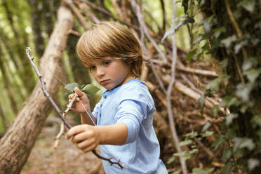 Boy playing with bow and arrow in forest - AUF00190