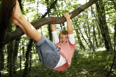 Happy boy climbing tree in forest - AUF00197