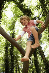 Glücklicher Junge klettert auf einen Baum im Wald - AUF00198