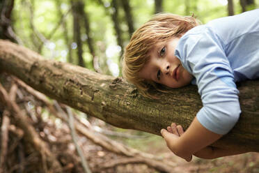 Porträt eines ernsten Jungen, der auf einem Baumstamm im Wald liegt - AUF00200