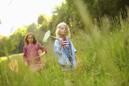 Mädchen, die mit Schmetterlingsnetzen im hohen Gras spazieren gehen - AUF00202