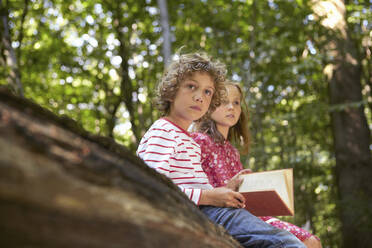 Kinder mit Buch auf einem Baumstamm im Wald sitzend - AUF00211