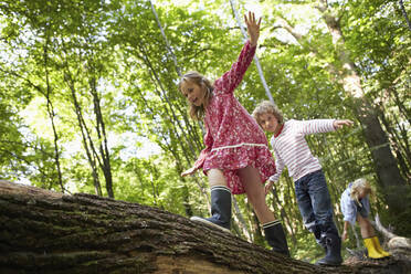 Kinder balancieren auf einem Baumstamm im Wald - AUF00212