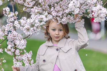 Porträt eines kleinen Mädchens in einem Park, das unter einem blühenden japanischen Kirschbaum steht - OGF00264