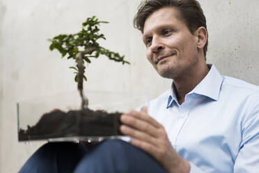 Businessman watching bonsai grow in transparent box - JOSEF00153