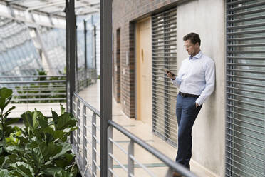 Businessman in green atrium, leaning on wall, reading using smartphone - JOSEF00163