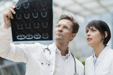 Two doctors looking at x-ray images - JOSEF00198