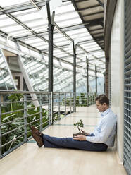 Businessman in green atrium, sitting on gallery, with bonsai on his lap - JOSEF00217