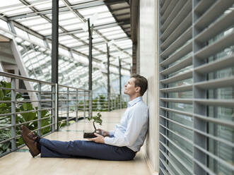 Businessman in green atrium, sitting on gallery, with bonsai on his lap - JOSEF00218