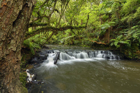 Neuseeland, Otago, Kleine Stromschnelle im Purakaunui River - RUEF02659