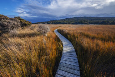 Neuseeland, Otago, Clutha District, Leerer Tautuku Estuary Walkway umgeben von hohem braunem Gras - RUEF02692