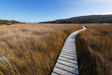 Neuseeland, Otago, Clutha District, Leerer Tautuku Estuary Walkway umgeben von hohem braunem Gras - RUEF02700