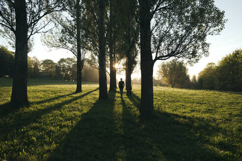 Silhouette eines Mannes, der bei Sonnenaufgang in einem Park spazieren geht - EYAF01008