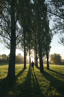 Silhouette eines Mannes, der bei Sonnenaufgang in einem Park zwischen Bäumen steht - EYAF01009