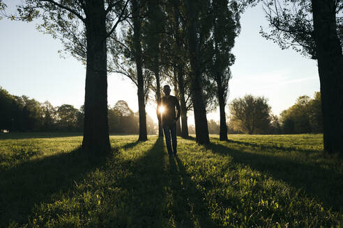 Silhouette eines Mannes, der bei Sonnenaufgang in einem Park spazieren geht - EYAF01010