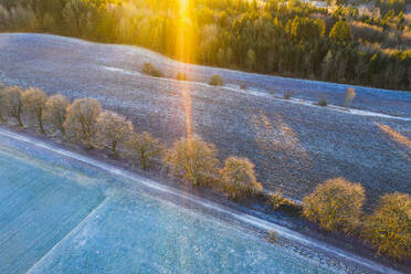 Deutschland, Bayern, Icking, Drohnenansicht eines mit Bäumen gesäumten Feldweges in der Winterdämmerung - SIEF09716