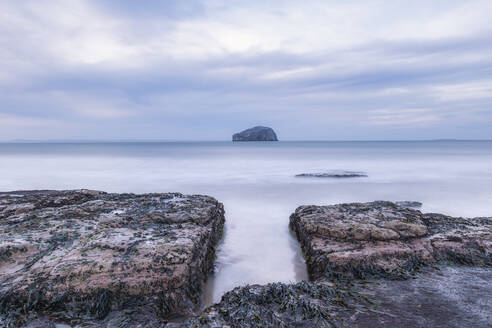 UK, Schottland, North Berwick, Seacliff-Küste mit der Insel Bass Rock im Hintergrund - SMAF01863