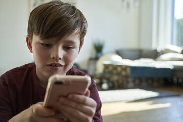 Porträt eines Jungen, der zu Hause sein Smartphone benutzt - AUF00231
