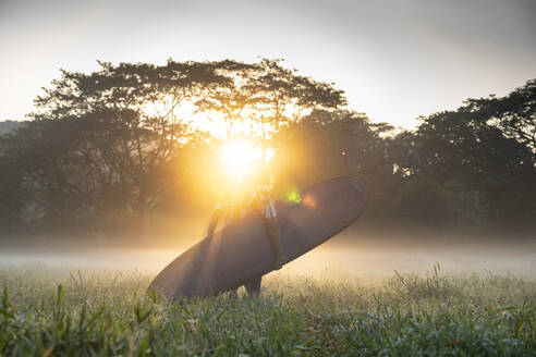 Rückenansicht eines jungen Surfers auf dem Weg zum Strand bei Sonnenaufgang, Costa Rica - AMUF00025