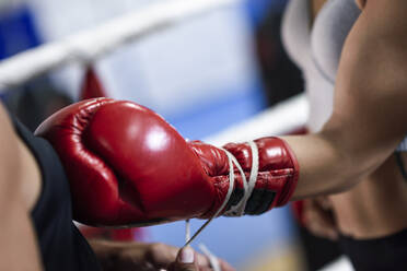 Nahaufnahme eines Trainers, der einem Boxer die Boxhandschuhe anzieht - JSMF01502