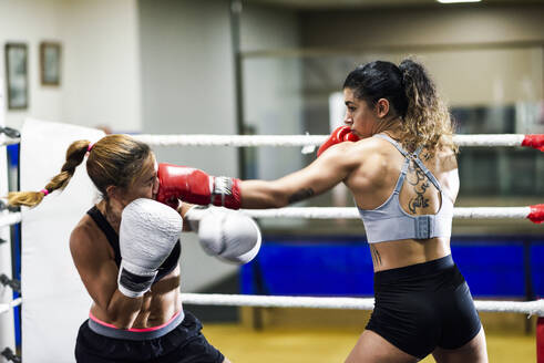 Eine Boxerin schlägt ihre Gegnerin beim Sparring im Ring eines Boxclubs - JSMF01516