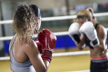 Boxerinnen beim Sparring im Ring eines Boxclubs - JSMF01517