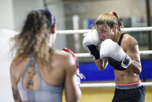 Boxerinnen beim Sparring im Ring eines Boxclubs - JSMF01518