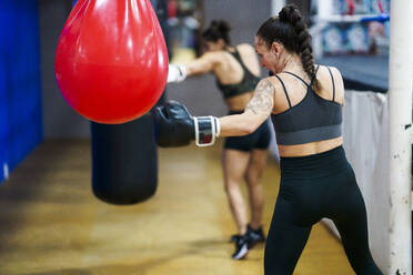 Weibliche Boxerinnen trainieren am Sandsack im Fitnessstudio - JSMF01526