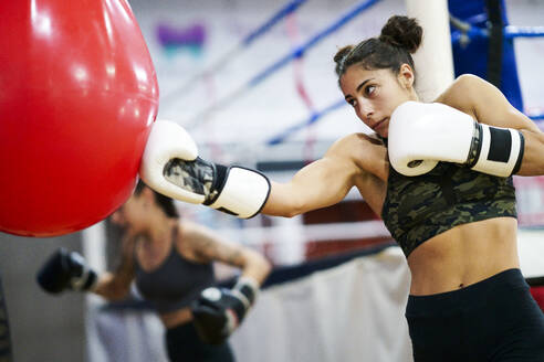 Weibliche Boxerinnen trainieren am Sandsack im Fitnessstudio - JSMF01528