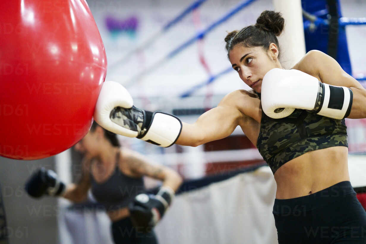 Female boxers training at punch bag in gym stock photo