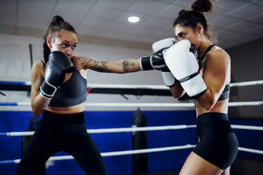 Boxerinnen beim Sparring im Ring eines Boxclubs - JSMF01538