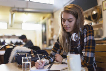 Junge Studentin studiert in einem Café - CAIF24945