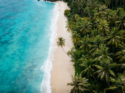 Aerial view of sandy beach with coconut trees and turquoise water in Sabang, Aceh, Indonesia. - AAEF07277